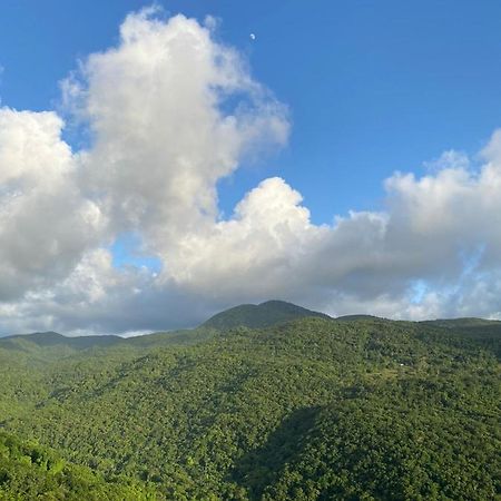 Tranquillite Vert Pointe-Noire Exteriör bild